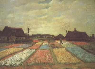 Bulb Fields (nn04), Vincent Van Gogh